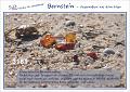 3161 SYLT INSEL - LIST Bernsteinsucher.